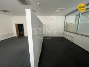 Pronájem kanceláře, Ostrava, Dlouhá, 244 m2