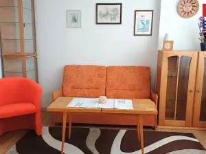 Pronájem bytu 1+1, Mladá Boleslav, Jana Palacha, 41 m2