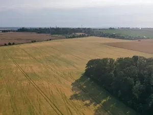 Prodej pole, Horní Slivno, 27919 m2