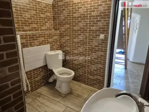 Prodej rodinného domu, Olešnice, 160 m2