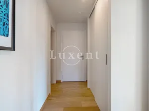 Pronájem bytu 2+kk, Praha, Holečkova, 71 m2