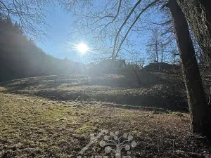 Prodej louky, Bozkov, 5815 m2