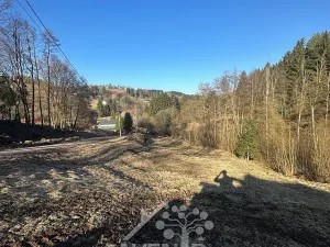 Prodej louky, Bozkov, 5815 m2