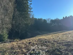 Prodej louky, Bozkov, 15029 m2