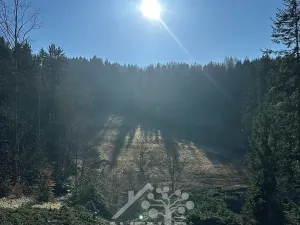 Prodej louky, Bozkov, 15029 m2