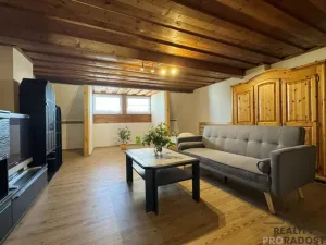 Pronájem bytu 2+1, Dolní Bojanovice, Mlýnská, 134 m2