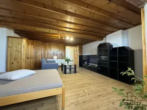 Pronájem bytu 2+1, Dolní Bojanovice, Mlýnská, 134 m2