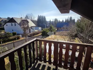 Prodej chalupy, Horní Blatná, Lesní, 1463 m2