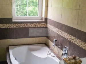 Prodej apartmánu, Paseky nad Jizerou, 345 m2
