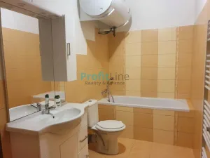 Pronájem bytu 1+kk, Zábřeh, Sušilova, 46 m2