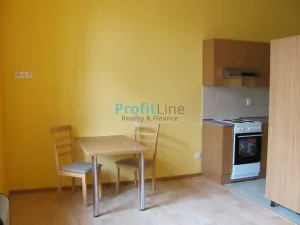 Pronájem bytu 1+kk, Sudkov, 41 m2