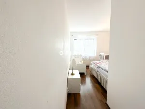 Pronájem bytu 3+kk, Brno, Čeňka Růžičky, 103 m2