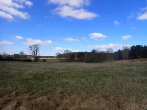 Pronájem komerčního pozemku, Velká Chmelištná, 10000 m2