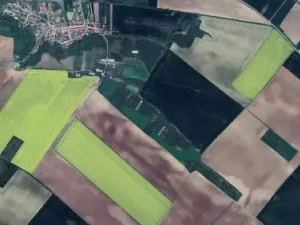 Prodej podílu lesa, Morašice, 698 m2