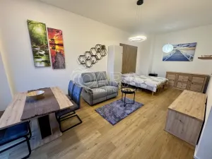 Pronájem bytu 1+kk, Praha - Žižkov, Malešická, 42 m2