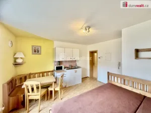 Pronájem bytu 1+kk, Harrachov - Nový Svět, 25 m2