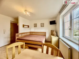 Pronájem bytu 1+kk, Harrachov - Nový Svět, 25 m2