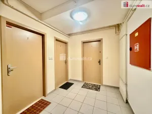 Pronájem bytu 1+kk, Harrachov - Nový Svět, 25 m2