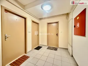 Pronájem bytu 1+kk, Harrachov - Nový Svět, 25 m2