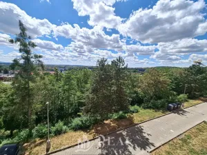 Pronájem bytu 1+1, Jirkov, Generála Svobody, 42 m2