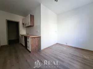 Pronájem bytu 1+1, Jirkov, Generála Svobody, 42 m2
