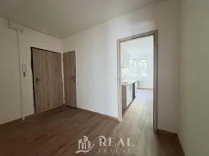 Pronájem bytu 1+1, Jirkov, Generála Svobody, 42 m2