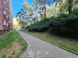 Pronájem bytu 1+1, Jirkov, Generála Svobody, 42 m2