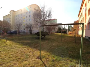 Pronájem bytu 1+1, Brno, Cornovova, 40 m2