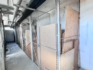 Pronájem bytu 2+1, Děčín - Děčín VI-Letná, Severní, 50 m2