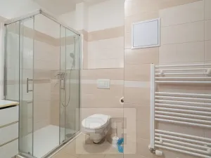 Pronájem bytu 1+kk, Praha - Černý Most, Rudolfa Holeky, 38 m2