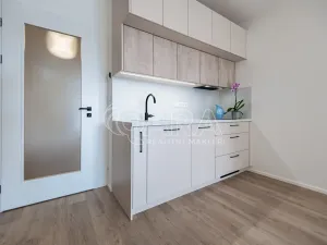 Pronájem bytu 1+kk, Praha - Hloubětín, Poděbradská, 39 m2