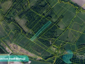 Prodej pole, Bohuslavice, 43749 m2