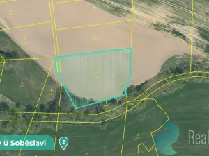 Prodej podílu 1/8 louky, Tučapy, 11561 m2