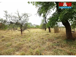 Prodej zahrady, Olomouc, Hollarova, 2281 m2