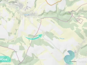 Prodej louky, Výprachtice, 6838 m2