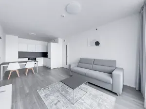 Pronájem bytu 2+kk, Praha - Vysočany, Hindlova, 56 m2