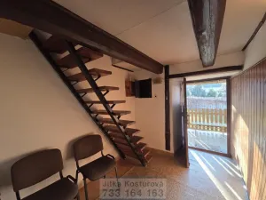 Prodej chalupy, Býkov-Láryšov - Láryšov, 200 m2