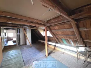 Prodej chalupy, Býkov-Láryšov - Láryšov, 200 m2