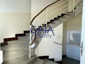 Prodej rodinného domu, Hýsly, 300 m2