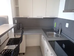 Pronájem bytu 1+kk, Liberec, Rychtářská, 19 m2