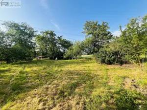 Pronájem rodinného domu, Palkovice - Myslík, 200 m2