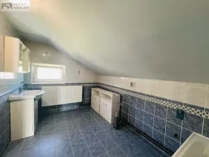 Pronájem rodinného domu, Palkovice - Myslík, 200 m2