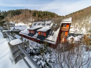 Prodej bytu 1+kk, Žacléř - Prkenný Důl, 37 m2