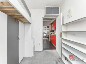 Prodej bytu 3+1, Hradec Králové - Pražské Předměstí, Gebauerova, 55 m2