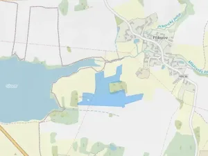 Prodej louky, Kostelec nad Vltavou, 323138 m2