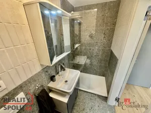 Pronájem bytu 1+kk, Brno - Zábrdovice, Bratislavská, 24 m2