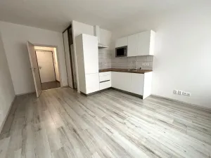 Pronájem bytu 1+kk, Plzeň - Východní Předměstí, Papírnická, 29 m2