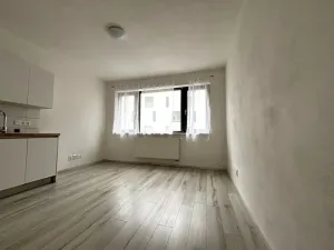 Pronájem bytu 1+kk, Plzeň - Východní Předměstí, Papírnická, 29 m2