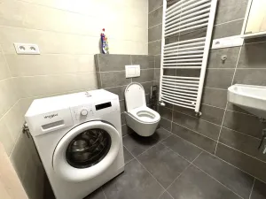 Pronájem bytu 1+kk, Plzeň - Východní Předměstí, Papírnická, 29 m2