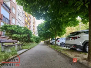 Pronájem bytu 3+1, Mladá Boleslav - Mladá Boleslav II, Na Radouči, 78 m2